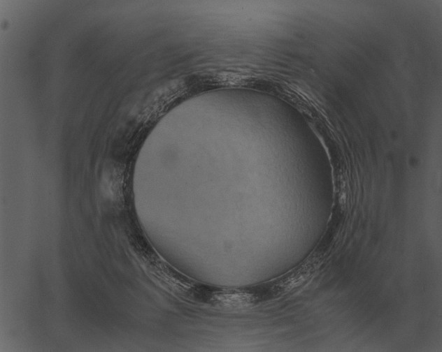 X0000062650221200601111200