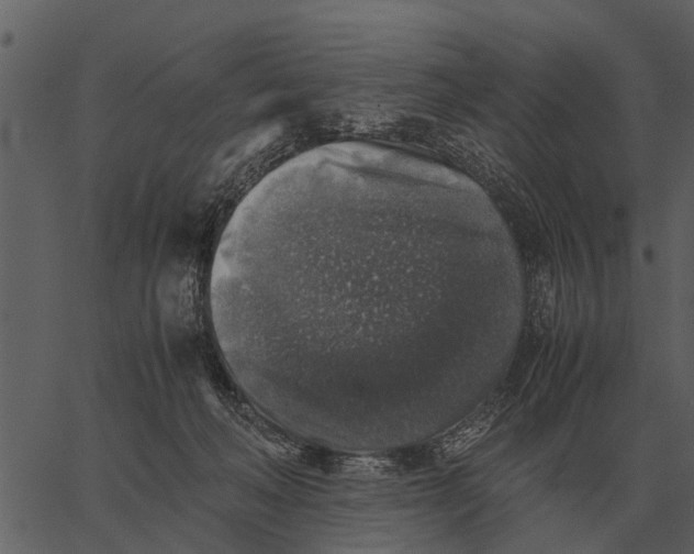 X0000062650222200601111200