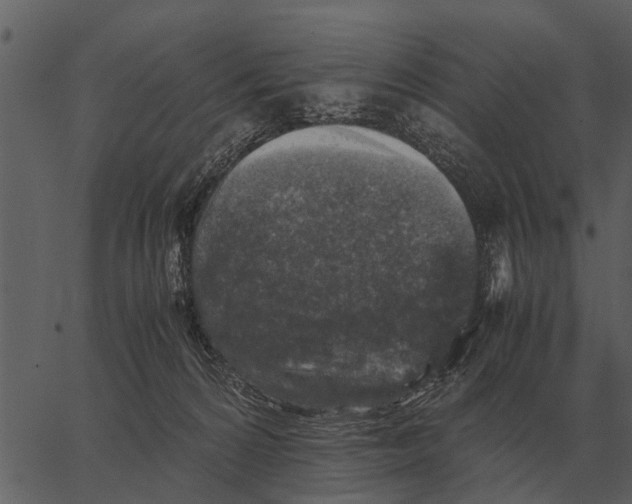 X0000062650224200601111200