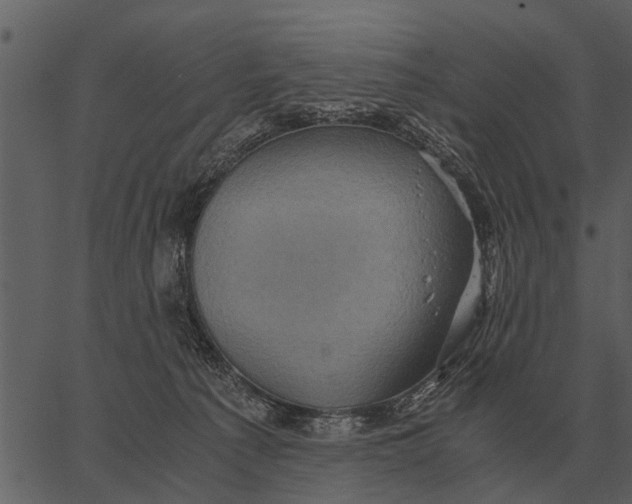 X0000062650225200601111200