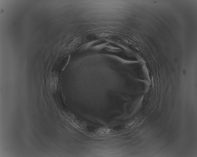 X0000062650227200601111200