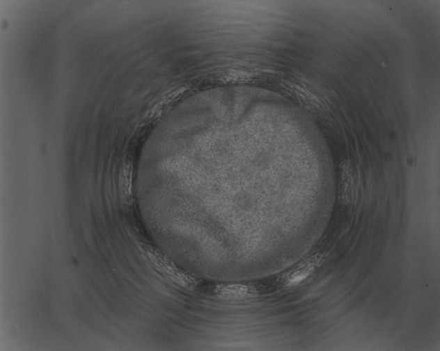 X0000062650230200601111200