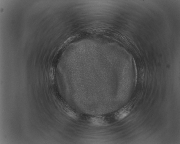 X0000062650232200601111200