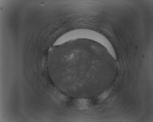 X0000062650233200601111200