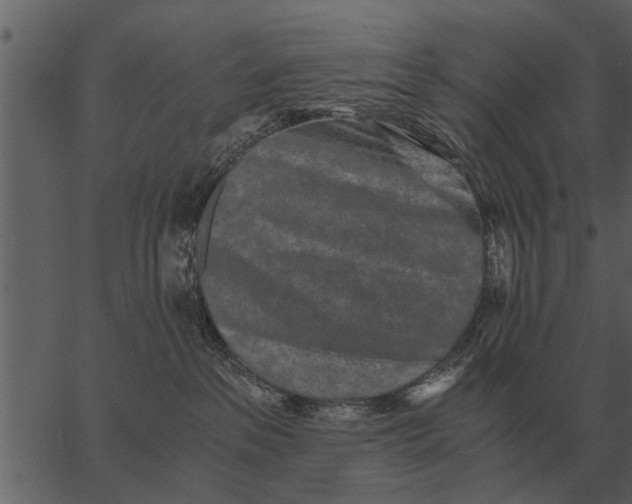 X0000062650237200601111159