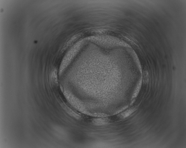 X0000062650238200601111159