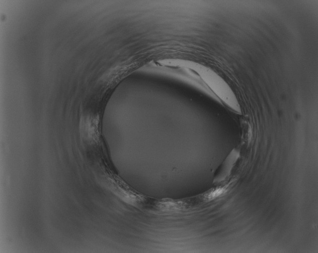 X0000062650239200601111159