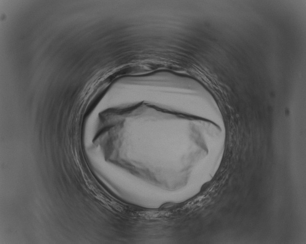 X0000062650241200601111159