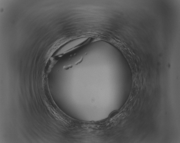 X0000062650242200601111159