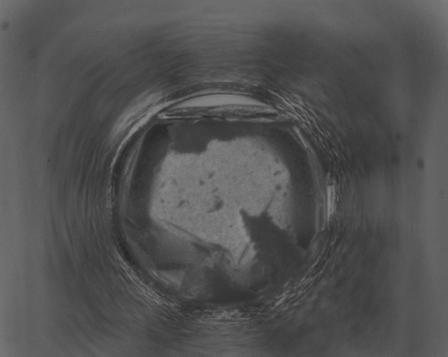 X0000062650243200601111159