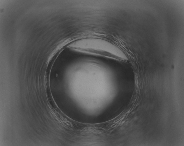 X0000062650244200601111159