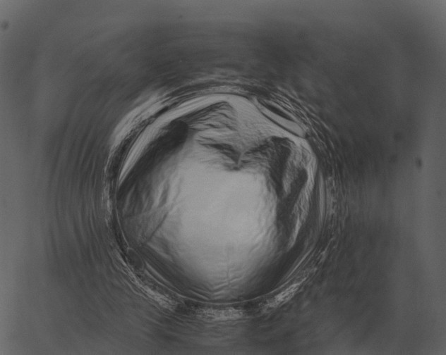 X0000062650245200601111159