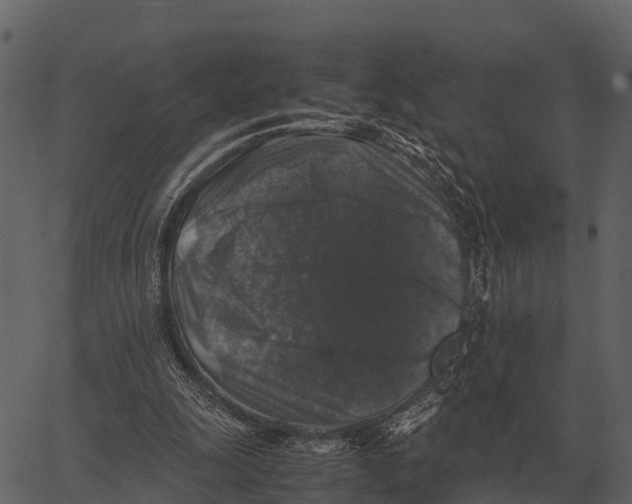 X0000062650247200601111159