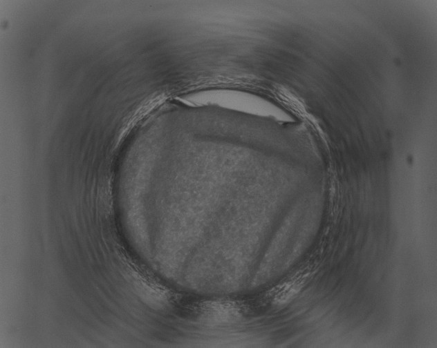 X0000062650250200601111159