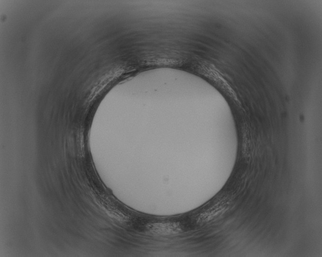 X0000062650251200601111159