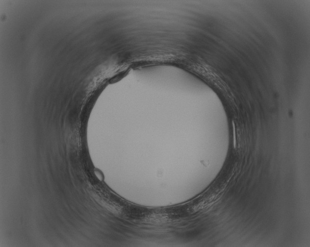 X0000062650252200601111159