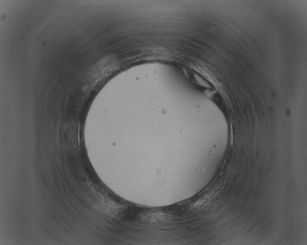 X0000062650253200601111159