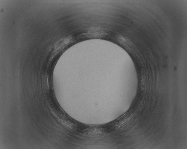 X0000062650254200601111159