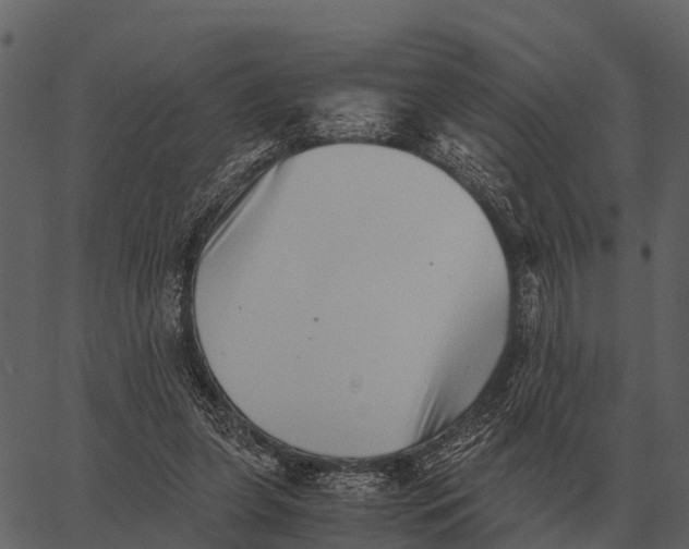 X0000062650255200601111159