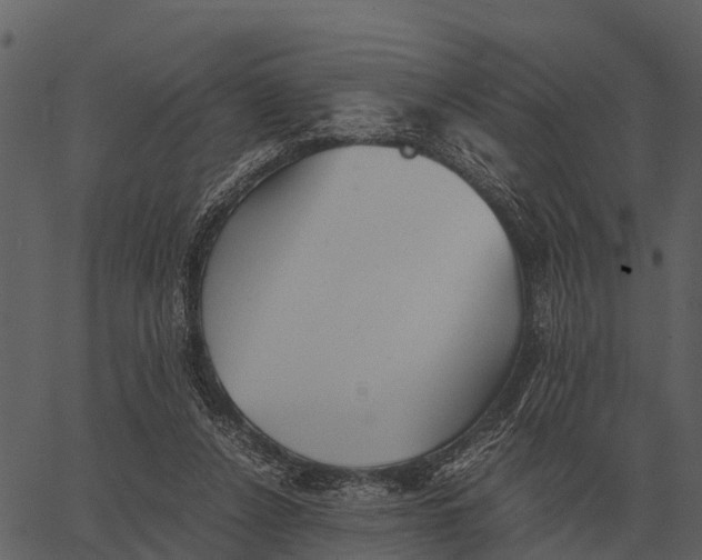 X0000062650256200601111159