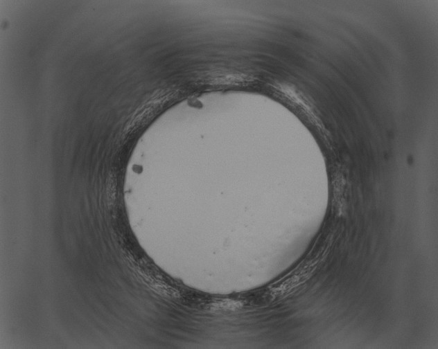 X0000062650257200601111159