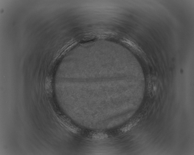 X0000062650258200601111159