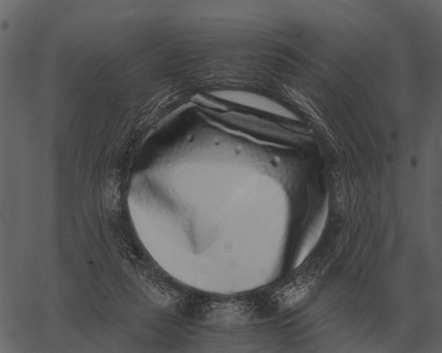 X0000062650259200601111159