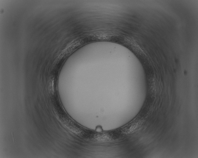 X0000062650262200601111159