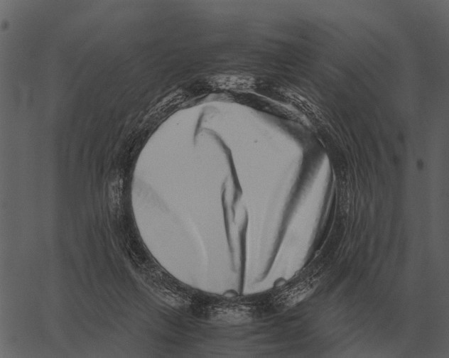 X0000062650263200601111159