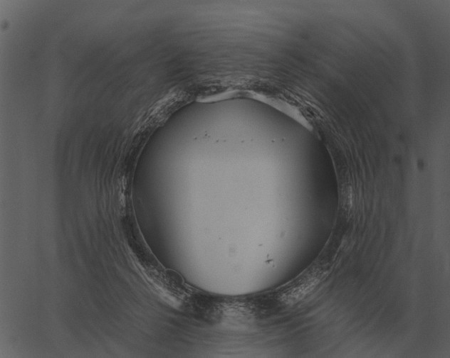 X0000062650264200601111159