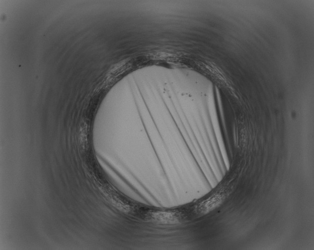 X0000062650265200601111159