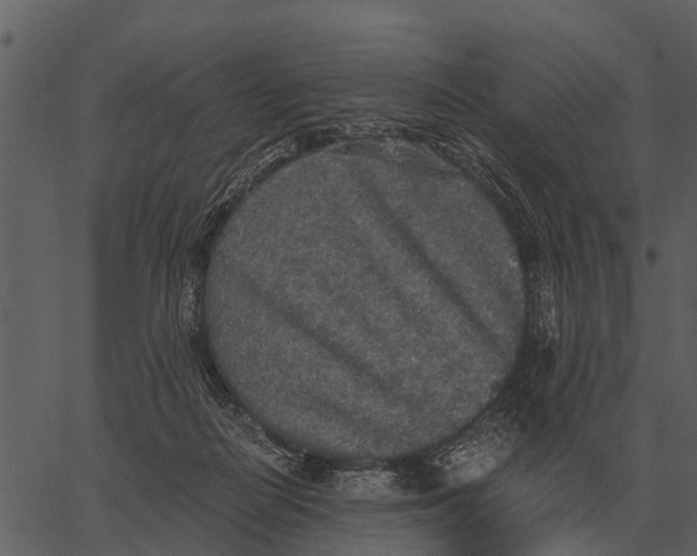 X0000062650266200601111159