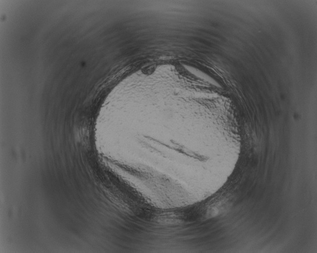 X0000062650269200601111159