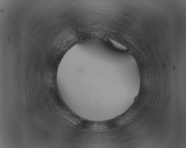 X0000062650270200601111159