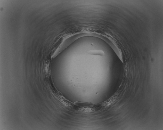 X0000062650276200601111159