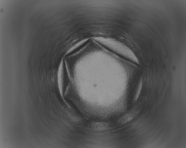 X0000062650277200601111159