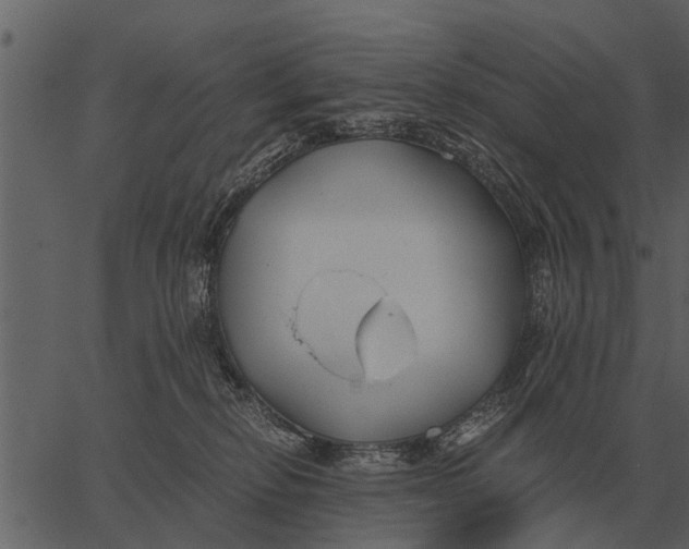 X0000062650278200601111159