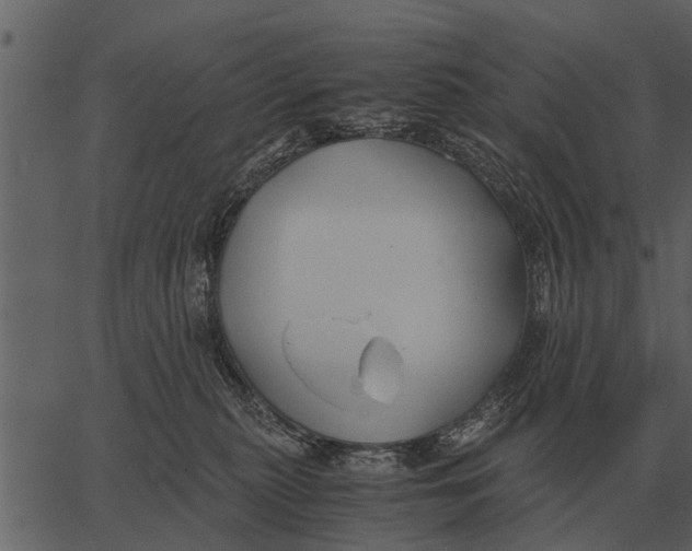 X0000062650279200601111159