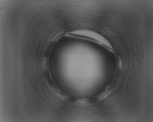 X0000062650280200601111159