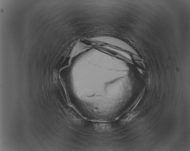 X0000062650281200601111159