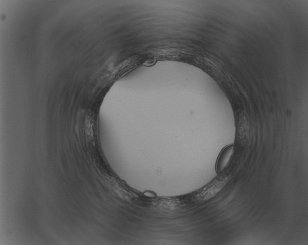 X0000062650282200601111159