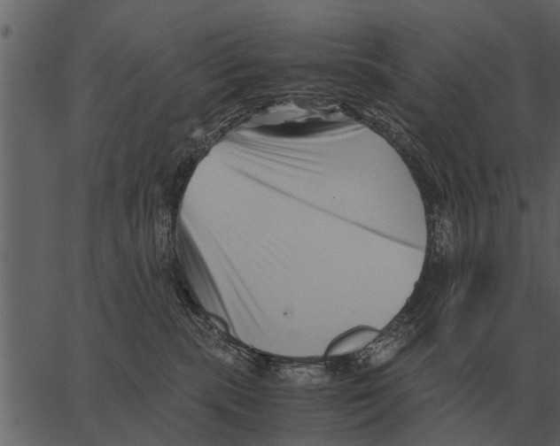 X0000062650283200601111159