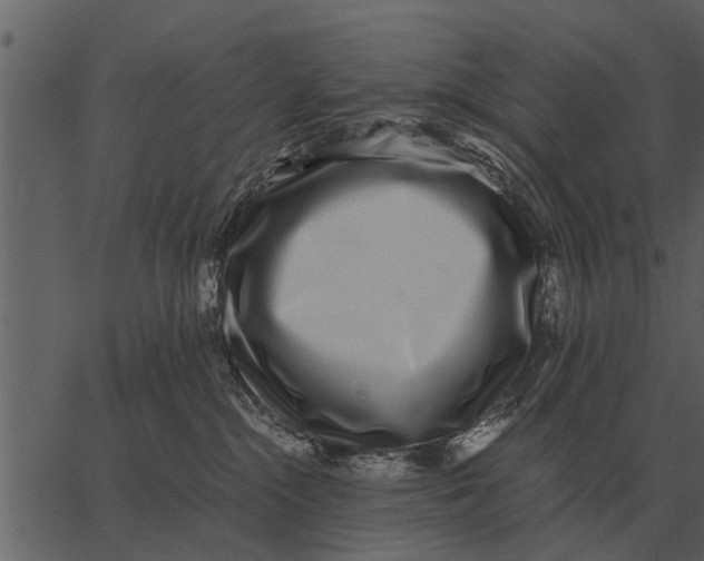 X0000062650284200601111159