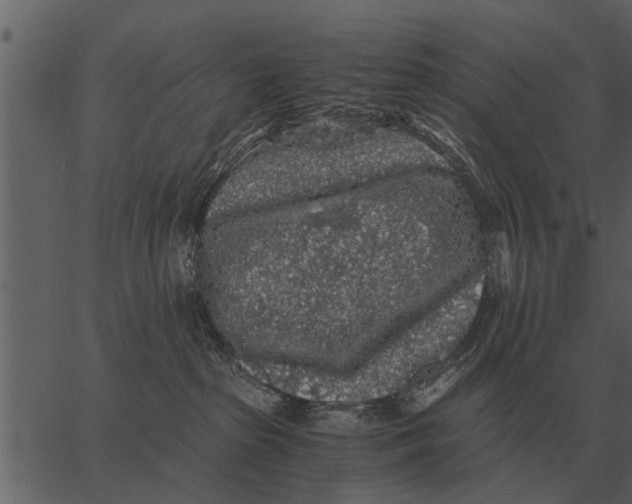 X0000062650285200601111159