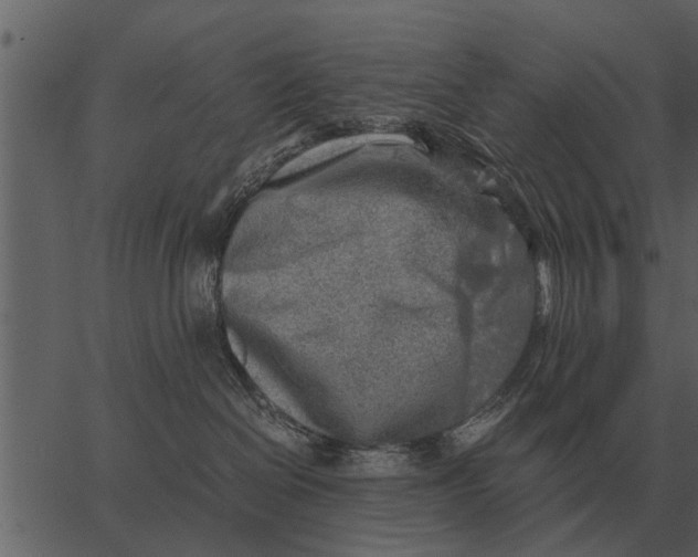 X0000062650286200601111159