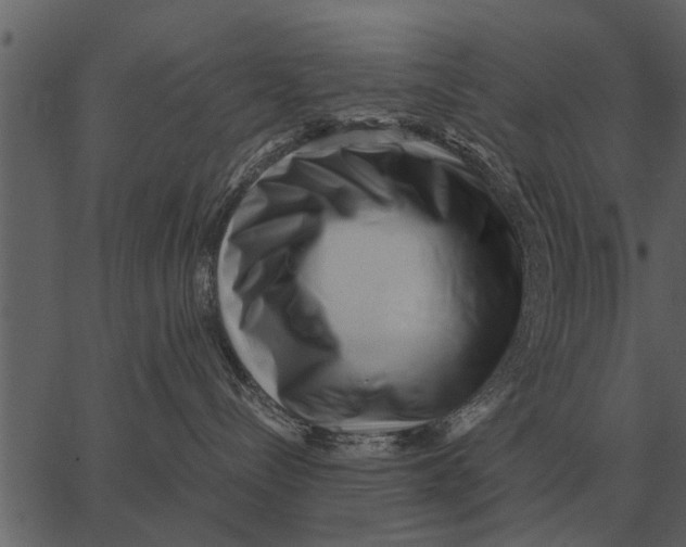 X0000062650288200601111159