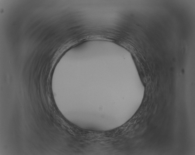 X0000062650289200601111159