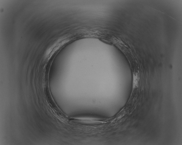 X0000062650291200601111159