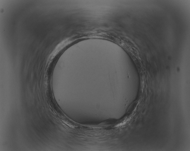 X0000062650295200601111159