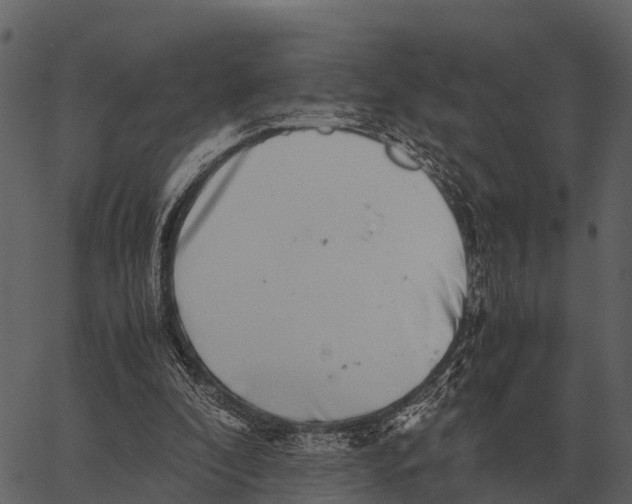 X0000062650296200601111158